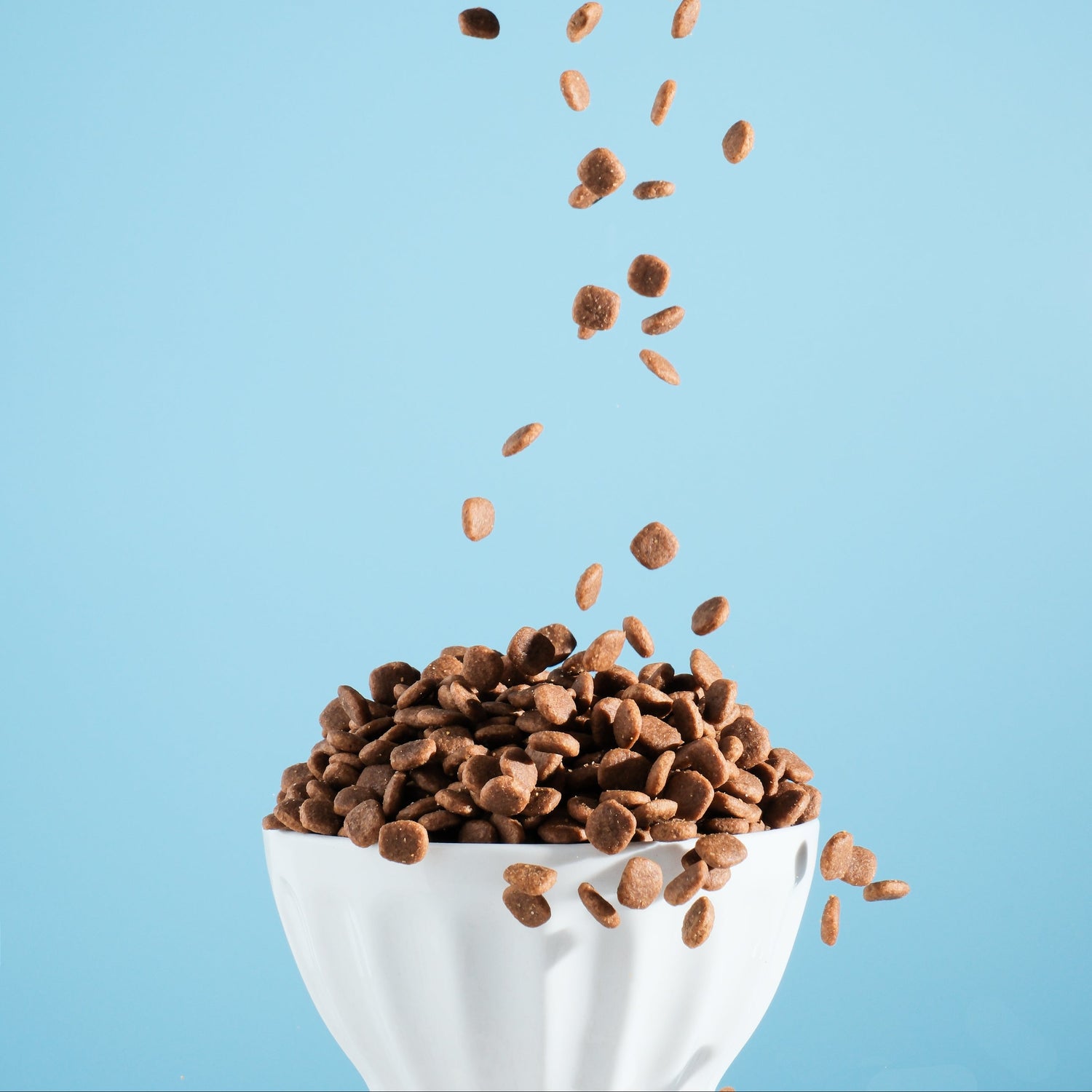 cat food being poured into a white bowl against a light blue background
