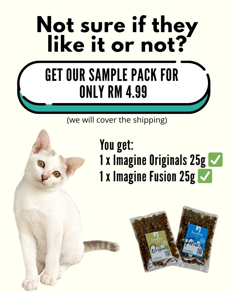 custom-slideshow-image-mobile-block_dcAmLF